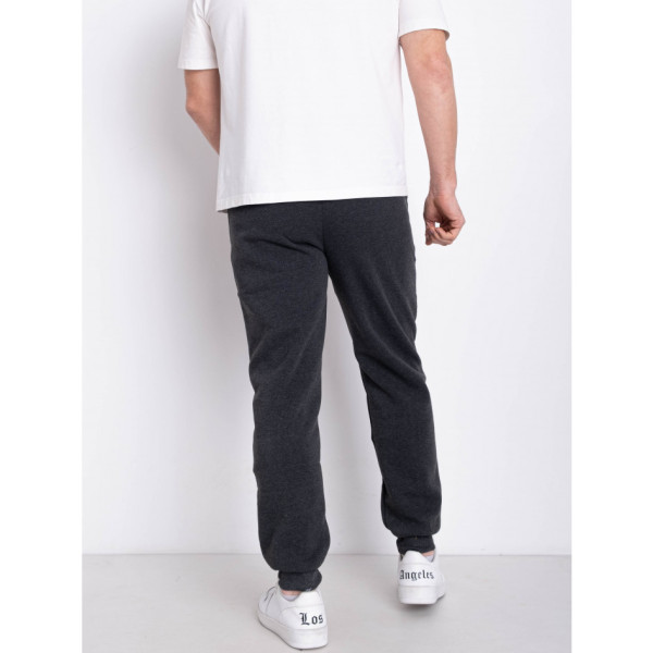 9996-6 сірі чоловічі спортивні штани (AOLONG. технітка на флісі, не кашлатиться, 5 од., розміри норма: XL. 2XL. 3XL. 4XL. 5XL)