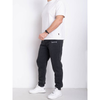 9996-6 сірі чоловічі спортивні штани (AOLONG. технітка на флісі, не кашлатиться, 5 од., розміри норма: XL. 2XL. 3XL. 4XL. 5XL)