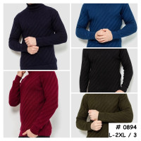 0894* вибір кольору чоловічий светр (3 од., розміри напівбатал: L-2XL) видача наступного дня