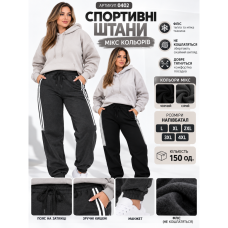 0402 Спортивні штани (1165766)