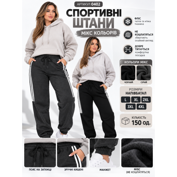 0402 Спортивні штани (1165766)