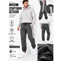 0402-6 Чоловічі спортивні штани сірі (1165802)