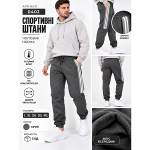 0402-6 Чоловічі спортивні штани сірі (1165802)