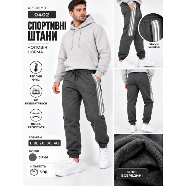 0402-6 Чоловічі спортивні штани сірі (1165802)
