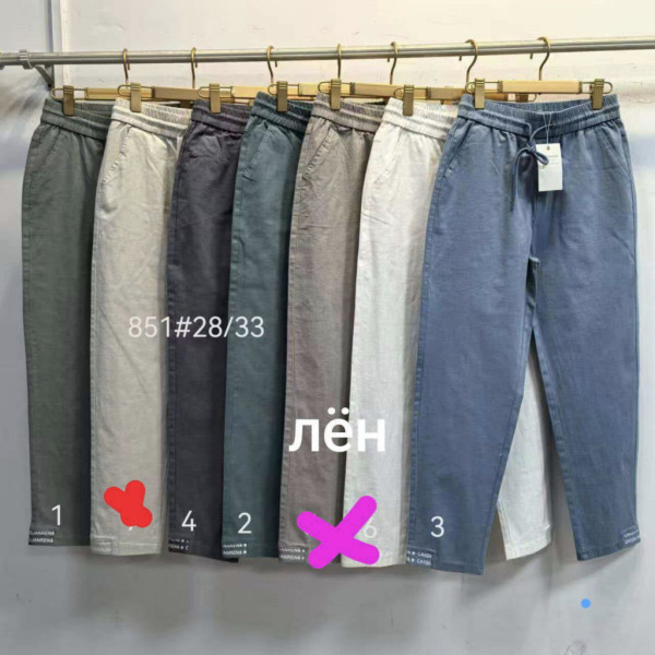 0851 # выбор цвета женские брюки (лен, 6 ед, размеры полубатал: 28-33) выдача на следующий день Брюки