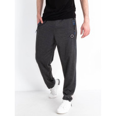 0606-6* сірі чоловічі весняні спортивні штани (AOLONG, стрейчові, 10 од. розміри на бирках: XL-5XL, відповідають нормі: M-3XL, дублюються) видача наступного дня