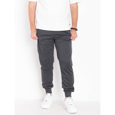 0109-6 сірі чоловічі спортивні штани з манжетом (AOLONG, двонитка, 5 од. розміри на бирках: XL-5XL, відповідають нормі: M-3XL)