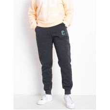 9995-6 сірі жіночі спортивні штани (AOLONG. технітка на флісі, не кашлатиться, 5 од., розміри напівбатал: XL. 2XL. 3XL. 4XL. 5XL)