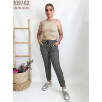 ЖІНОЧІ БАТАЛЬНІ СПОРТИВНІ ШТАНИ