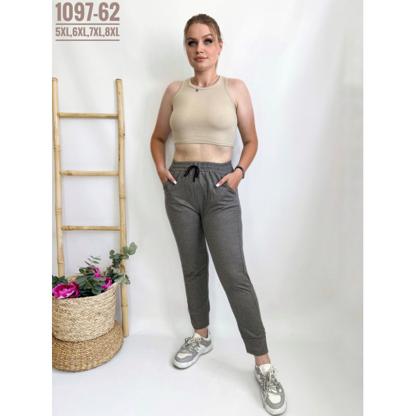 ЖІНОЧІ БАТАЛЬНІ СПОРТИВНІ ШТАНИ