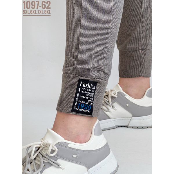 ЖІНОЧІ БАТАЛЬНІ СПОРТИВНІ ШТАНИ