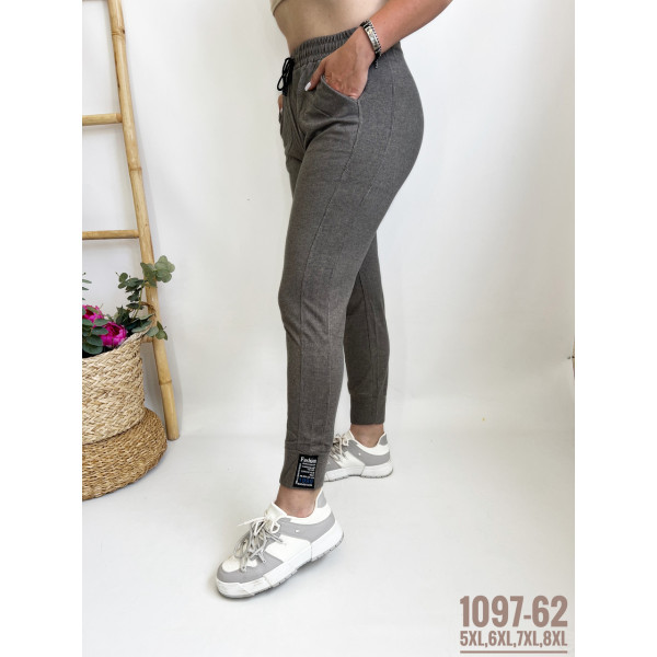 ЖІНОЧІ БАТАЛЬНІ СПОРТИВНІ ШТАНИ