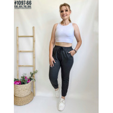 ЖІНОЧІ БАТАЛЬНІ СПОРТИВНІ ШТАНИ №1097-66