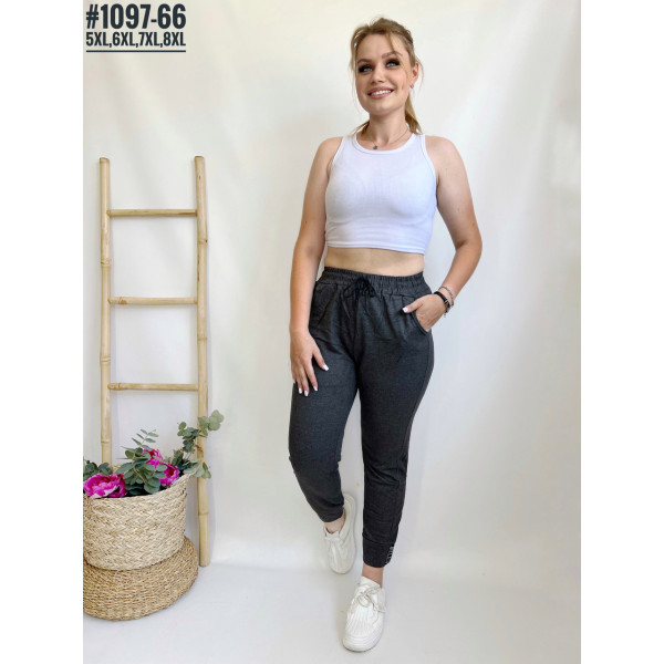 ЖІНОЧІ БАТАЛЬНІ СПОРТИВНІ ШТАНИ №1097-66