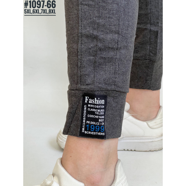 ЖІНОЧІ БАТАЛЬНІ СПОРТИВНІ ШТАНИ №1097-66