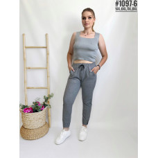 ЖІНОЧІ БАТАЛЬНІ СПОРТИВНІ ШТАНИ №1097-6