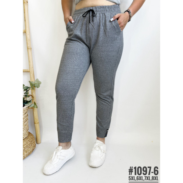 ЖІНОЧІ БАТАЛЬНІ СПОРТИВНІ ШТАНИ №1097-6