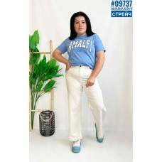 Джинси труби стрейч розмірний ряд 28,29,30,31,32,33