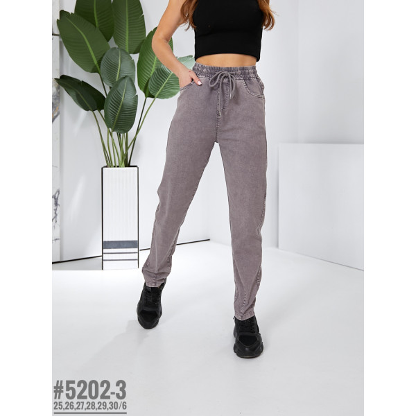 Джегінси з поясом на резинці розмірний ряд 25-30