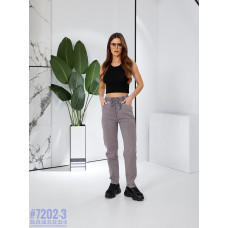 Джегінси з поясом на резинці розмірний ряд 28-33